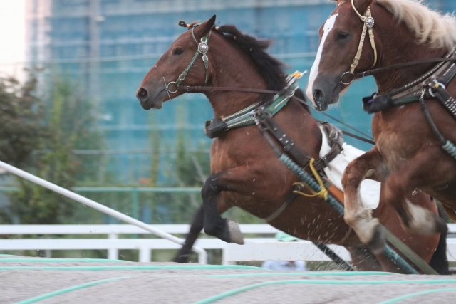 帯広競馬場グルメガイド！おすすめ食堂&限定メニュー10選 