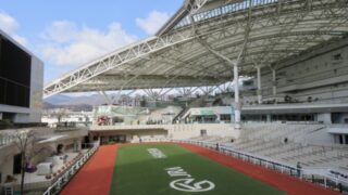 阪神競馬場レース予想:勝つための秘訣とプロの分析を大公開！ 
